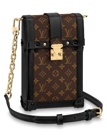 Louis Vuitton Pochette Trunk Verticale M63913 Brown